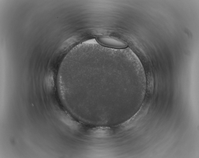 X0000111370128200908211326