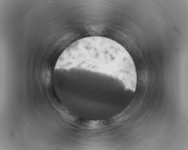 X0000111370130200908211326