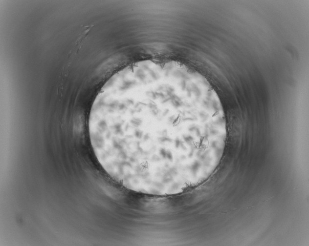 X0000111370132200908211326