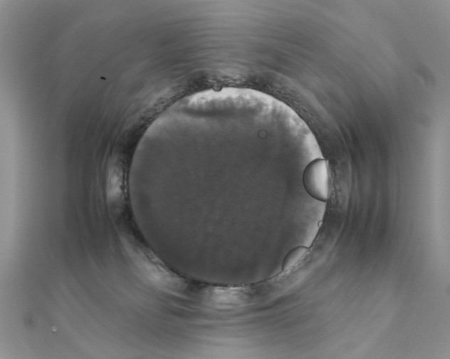 X0000111370134200908211326
