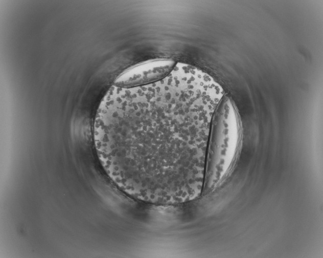 X0000111370137200908211326