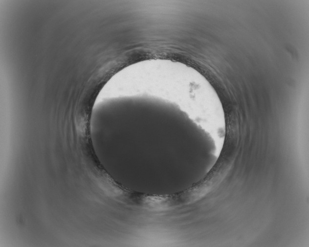 X0000111370139200908211326