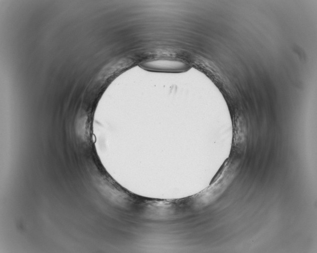 X0000111370140200908211326