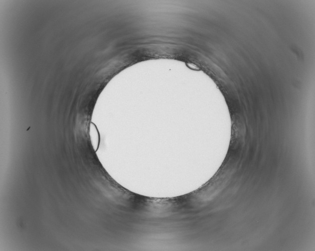 X0000111370141200908211326