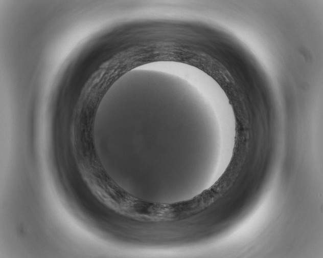 X0000111370143200908211326