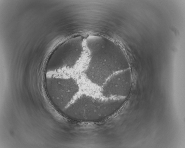 X0000111370145200908211325