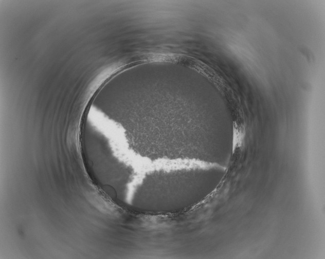 X0000111370147200908211325