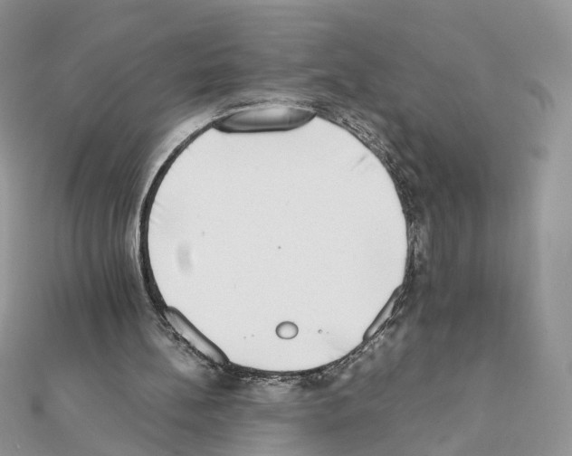 X0000111370148200908211325