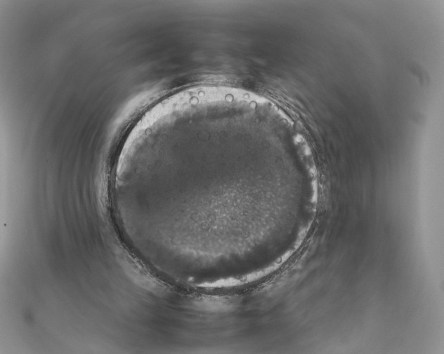 X0000111370149200908211325