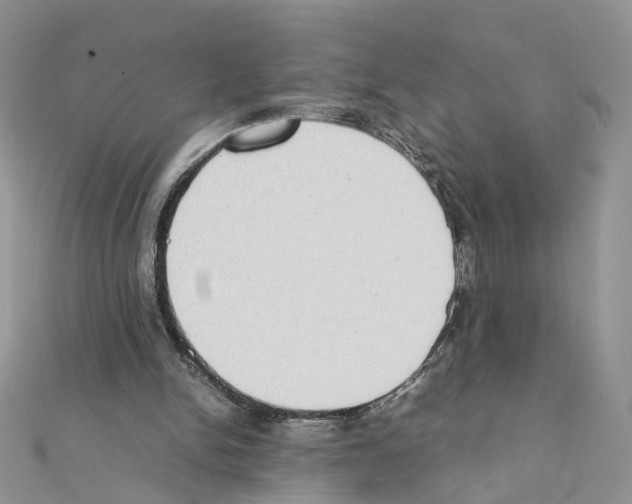 X0000111370150200908211325