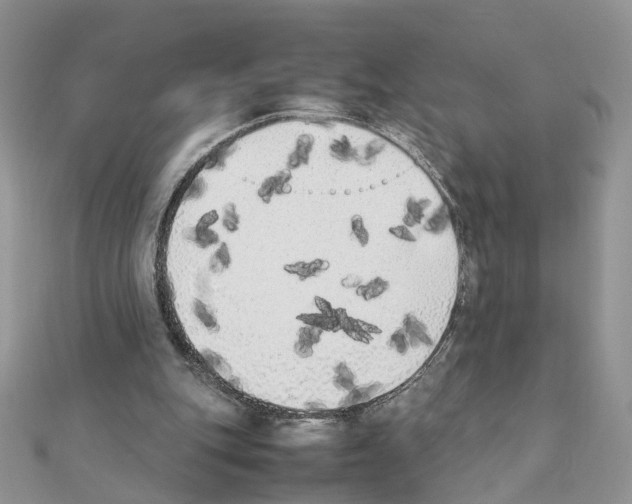X0000111370151200908211325