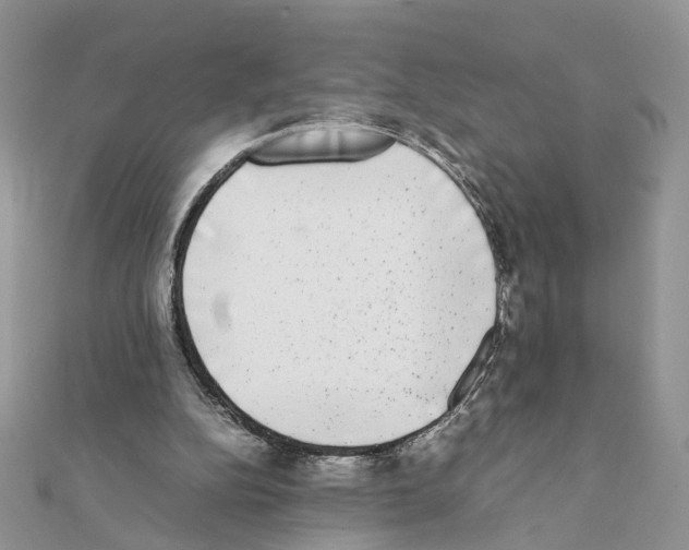 X0000111370152200908211325