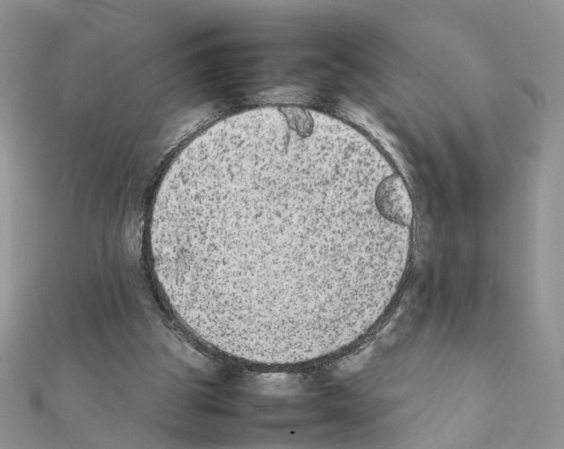 X0000111370153200908211325