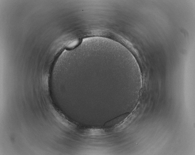 X0000111370154200908211325