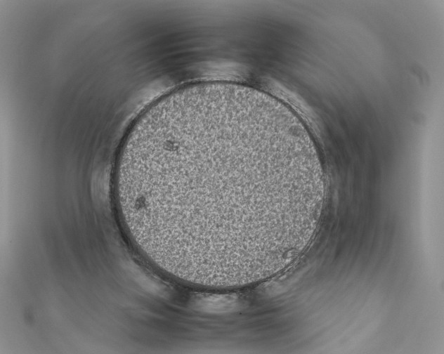 X0000111370155200908211326
