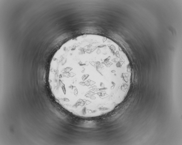 X0000111370157200908211326