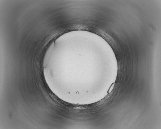 X0000111370158200908211326