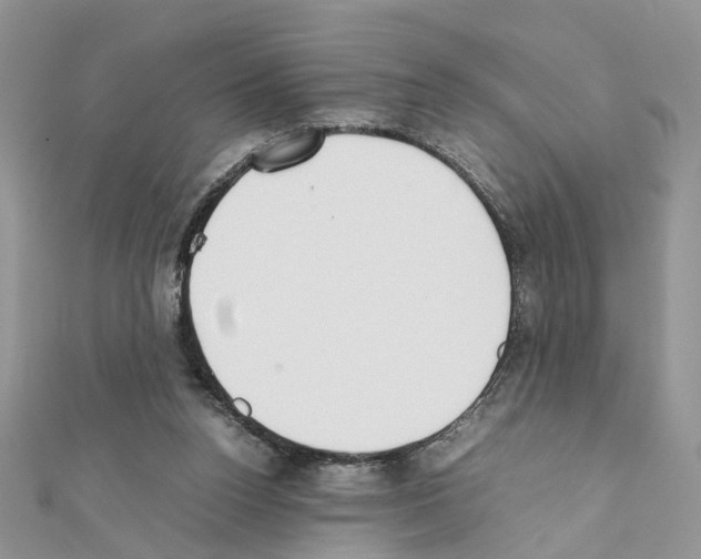 X0000111370160200908211326