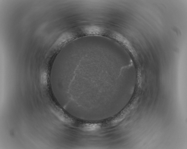 X0000111370161200908211326