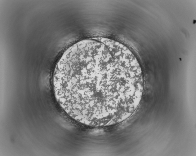 X0000111370162200908211326