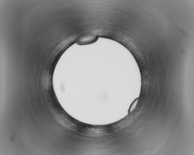 X0000111370164200908211326