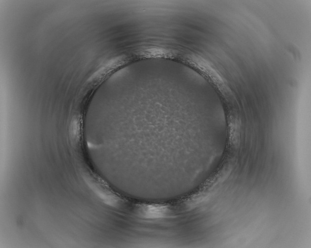 X0000111370165200908211326