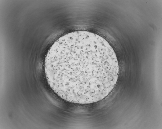 X0000111370166200908211326