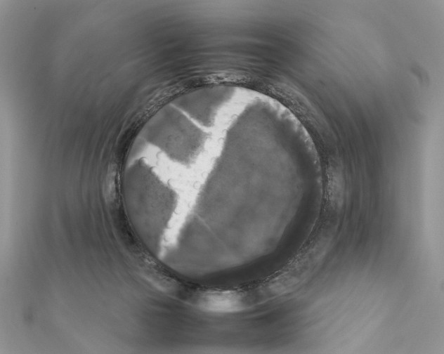 X0000111370169200908211326