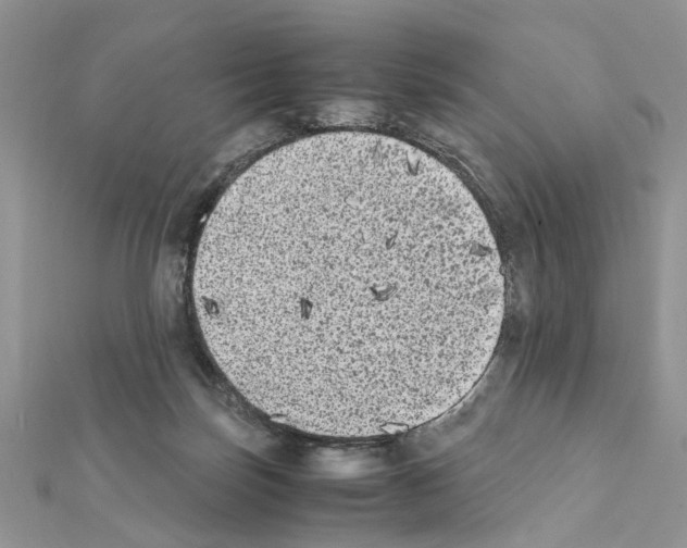 X0000111370171200908211326