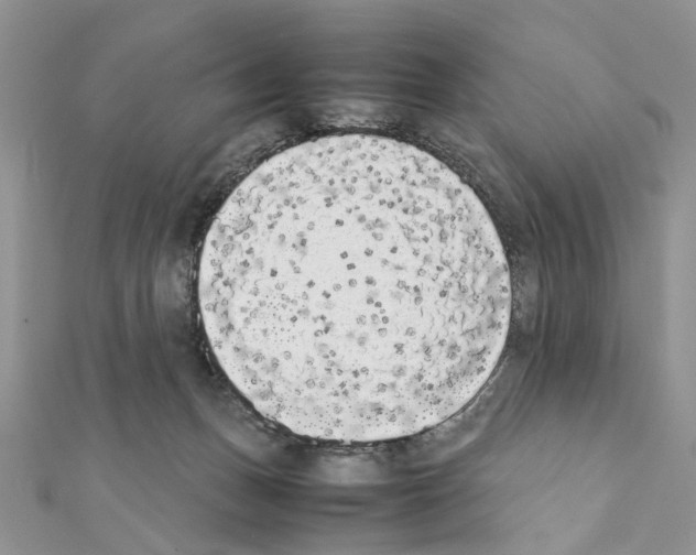 X0000111370175200908211326