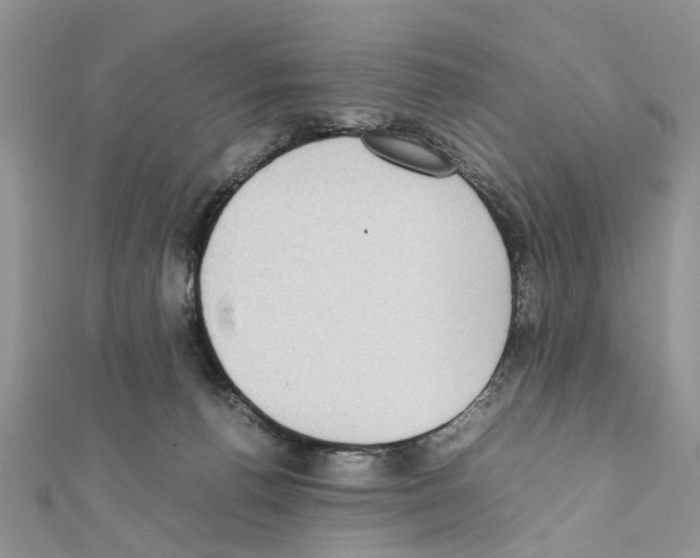 X0000111370176200908211326
