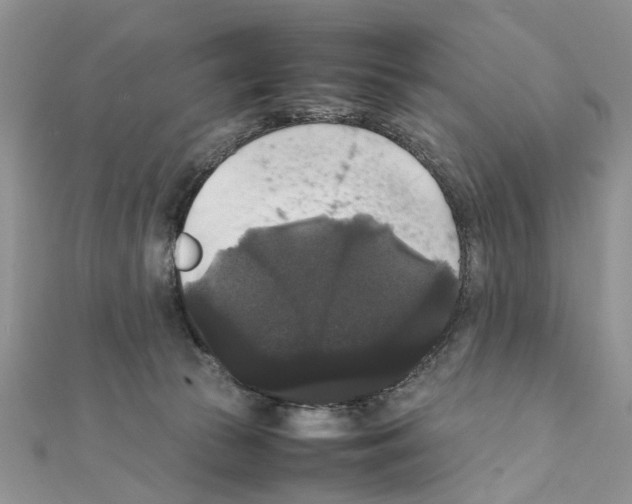 X0000111370177200908211326
