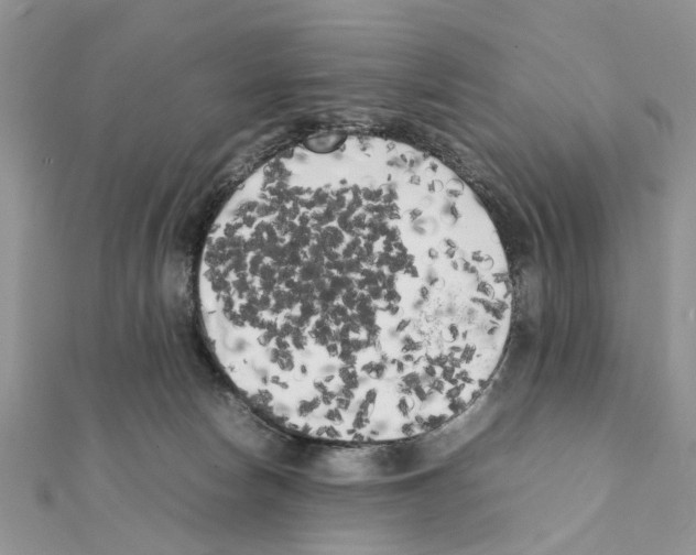 X0000111370178200908211326