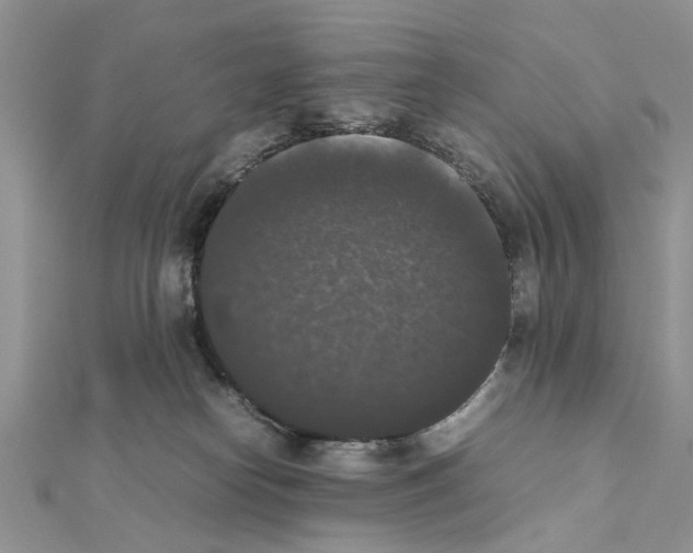 X0000111370182200908211326