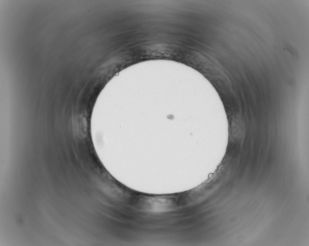 X0000111370183200908211326