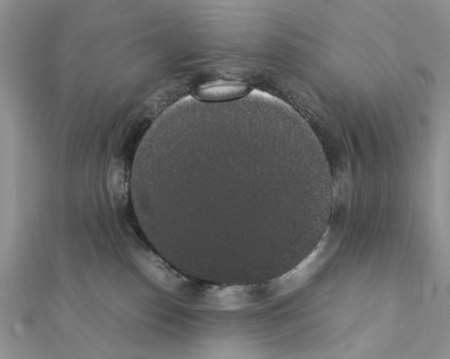 X0000111370186200908211326