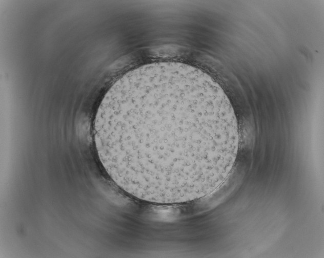 X0000111370187200908211326