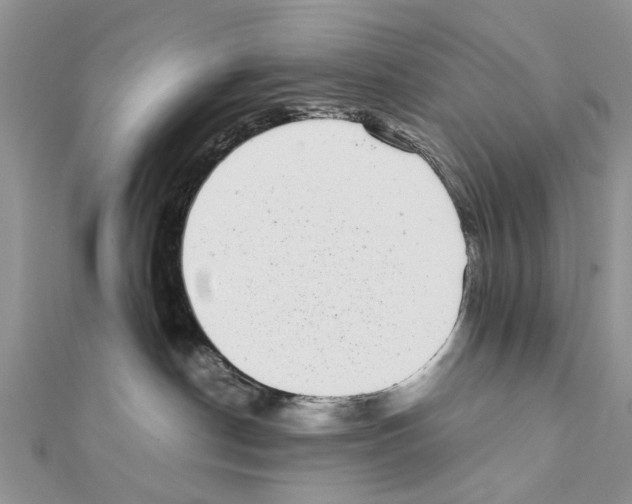 X0000111370190200908211326