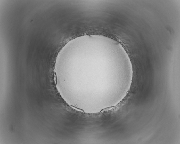 X0000111370192200908211326