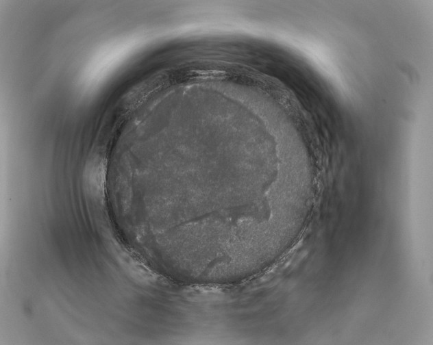 X0000111370194200908211325