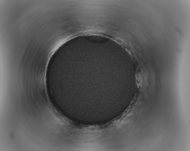X0000111370196200908211325