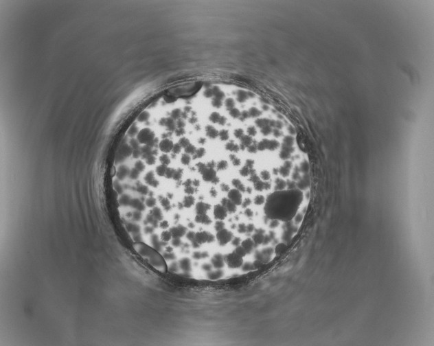 X0000111370197200908211325