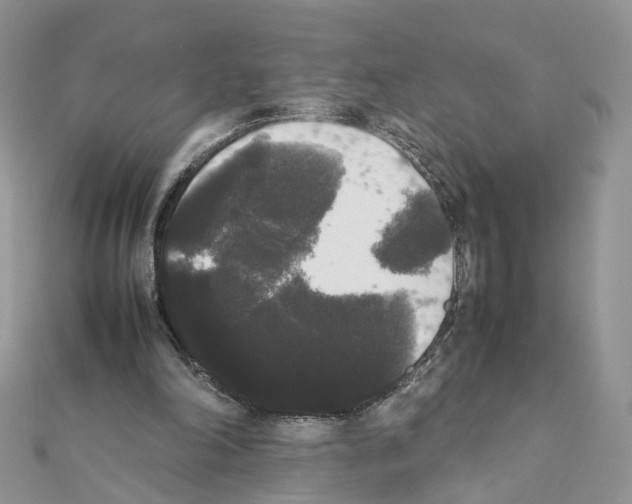 X0000111370198200908211325