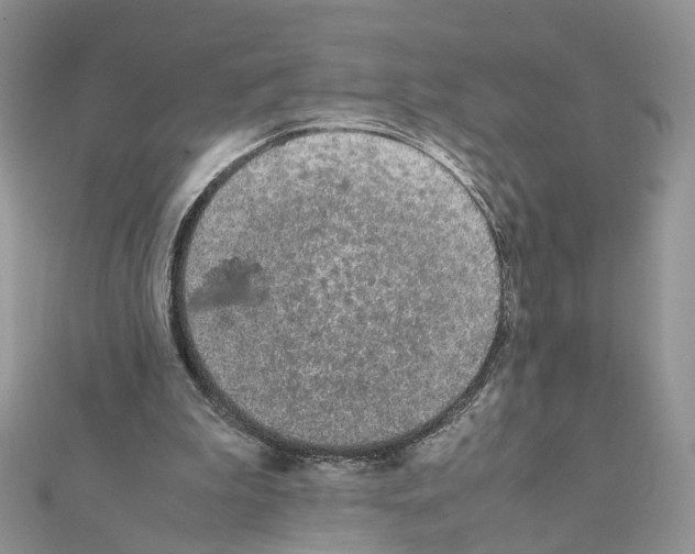 X0000111370199200908211325