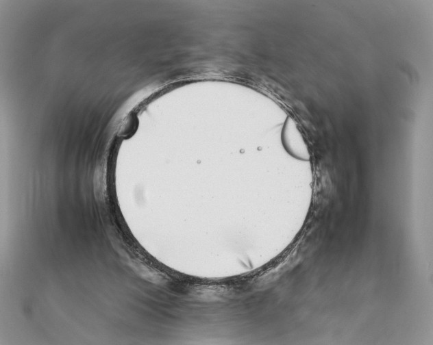 X0000111370200200908211325