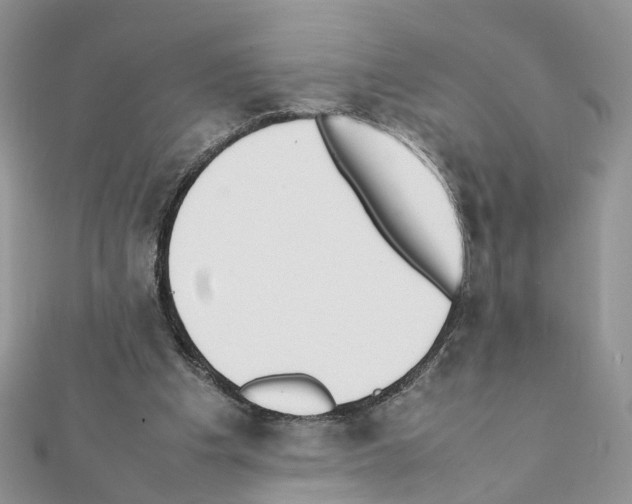 X0000111370201200908211325