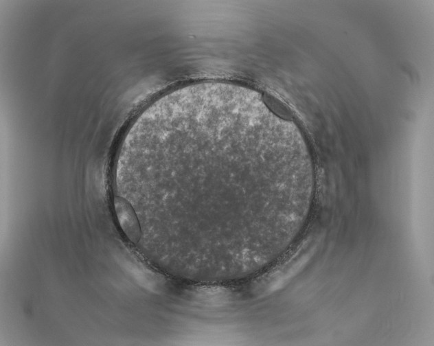 X0000111370203200908211325