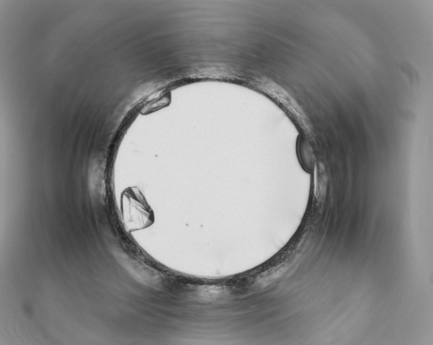 X0000111370204200908211325
