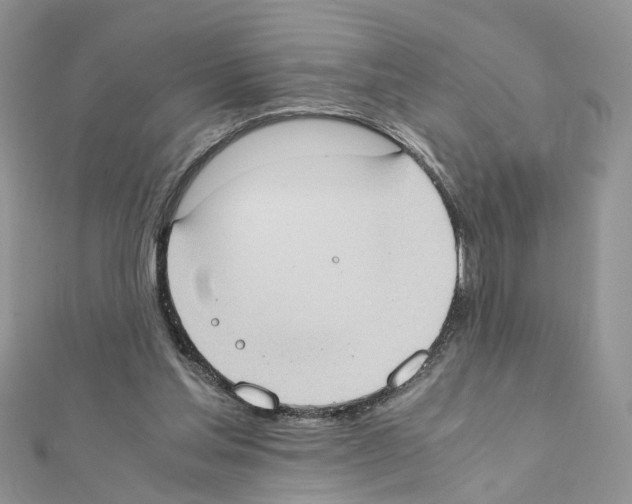 X0000111370205200908211325