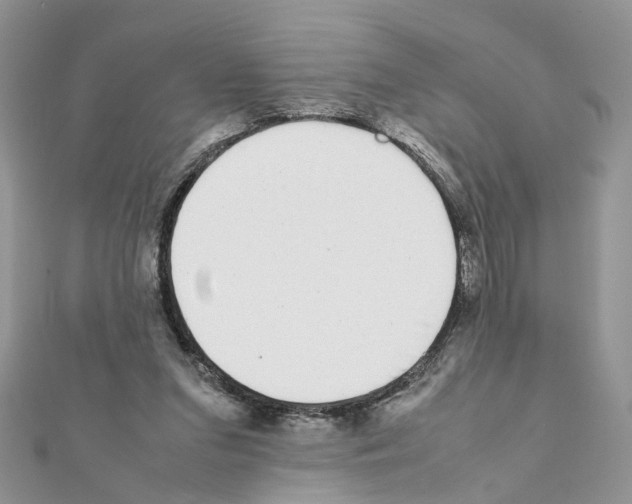X0000111370207200908211325